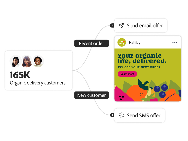 Audience workflow segmenting new and existing organic food customers