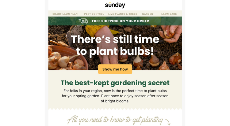 Sunday's personalised recommendations