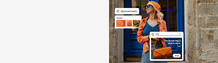 A customer with a personalized ad and approved campaign assets
