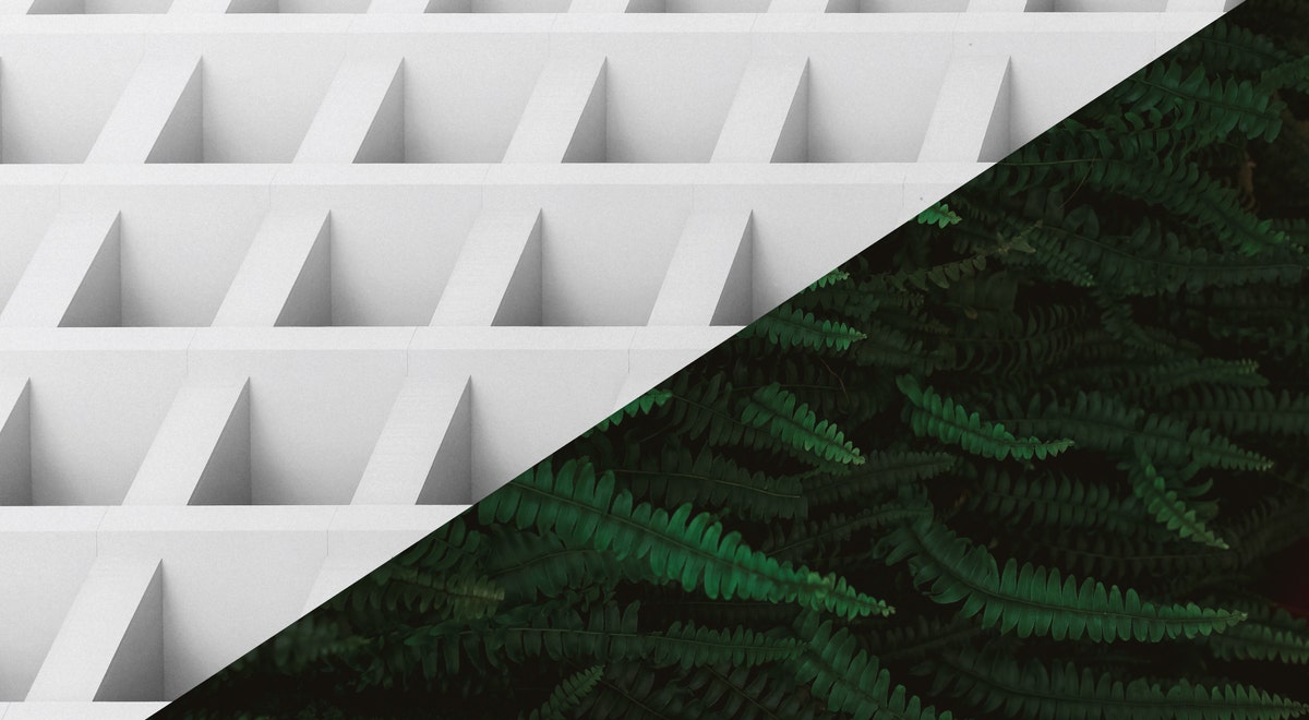 Structured vs. Unstructured Work Environment: Which One? | Adobe Workfront