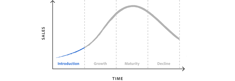 Product life cycle: Development and introduction