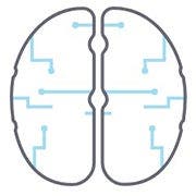 brain icon