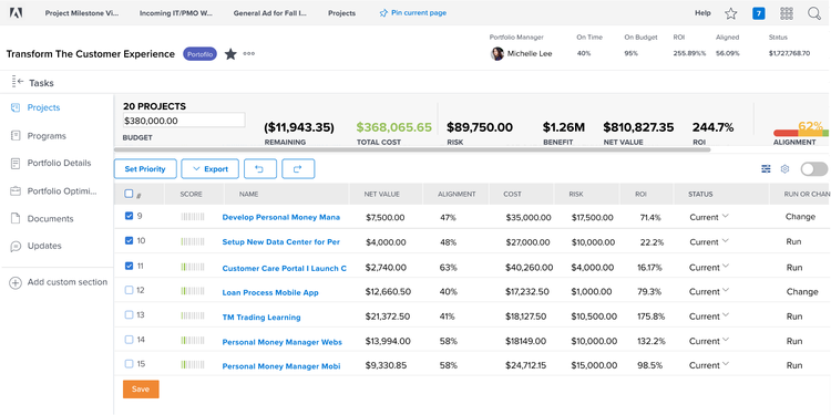 Project scope example