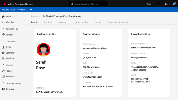 A customer profile in Adobe Experience Platform