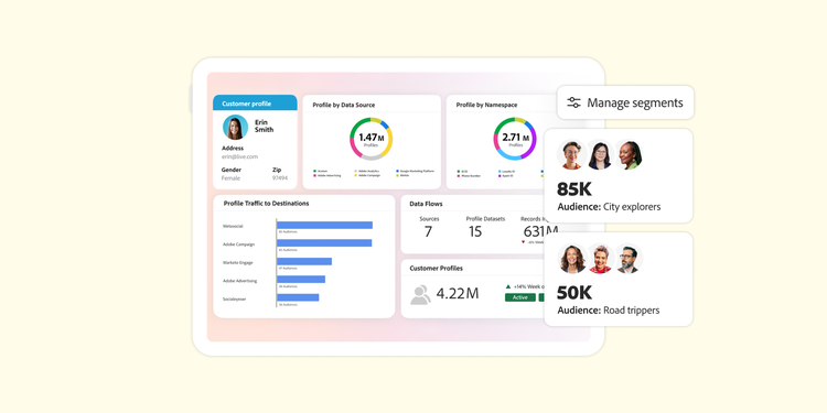 Software interface displaying audience and customer analytics. Interface includes customer profile with characteristics and contact information. Other elements of product include profile traffic sorted by source and name.