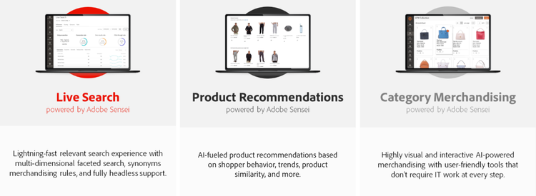 Live Search, Product Recommendations, Category Merchandising graphic