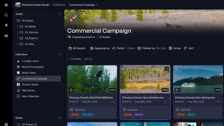 A Frame.io screenshot showing a collection of video assets titled Commercial Campaign.