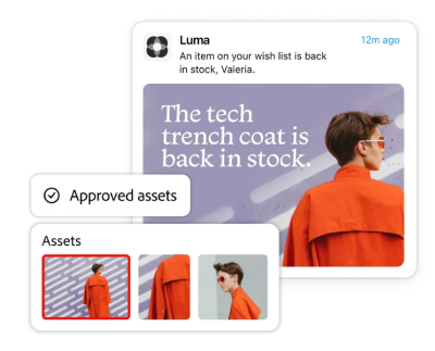 Approved image assets are shown for a digital ad featuring an orange trench coat.