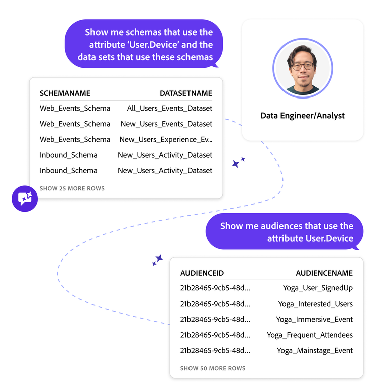 Interface example with data engineer/analyst querying schemas and audiences using different attributes.