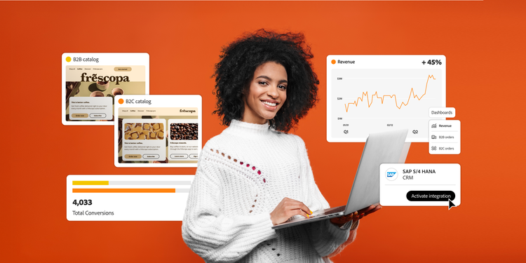 An ecommerce professional analyzes revenue data, tracks conversions, and manages B2B and B2C catalogs.