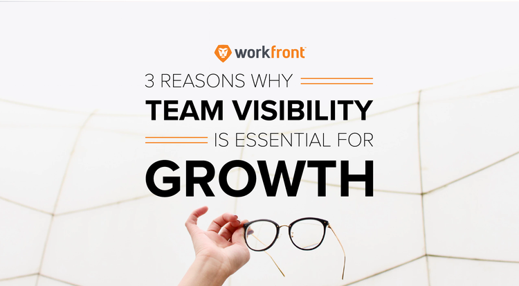 team visibility growth