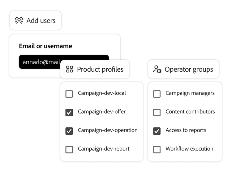 Ein Bild zu den Einstellungen für Zugriffskontrolle und Identitäts-Management im Campaign-Dashboard für Governance und Kontrolle.