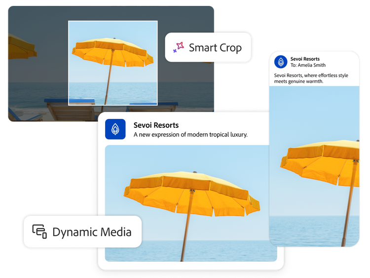 Beach video asset automatically optimized for web and mobile