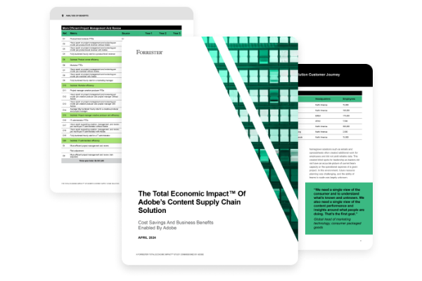 Adobe Professional Services Empowers Teams To Optimize Their Content Supply Chain With Adobe image