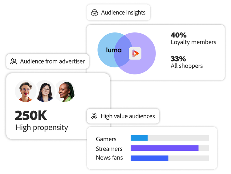 Brand audience snapshot with a screen for insights and one for high-value segments