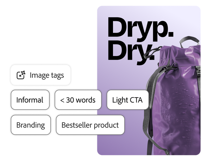 An approved campaign image and its metadata