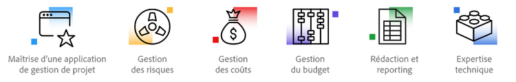 a graphic that describes technical project management skills.