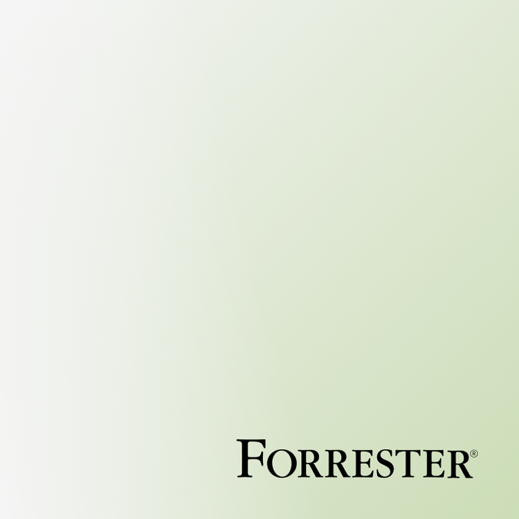 Image Forrester « Adobe est un leader du marketing des revenus B2B »