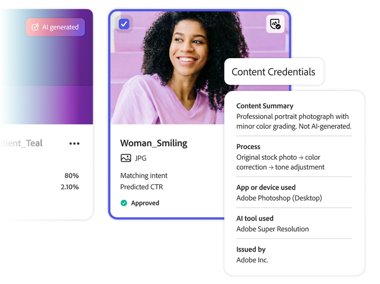 Un asset extrait du DAM présentant des informations sur le contenu, notamment un résumé, les traitements effectués sur l’image, les applications utilisées, les outils employés et la source de l’image.