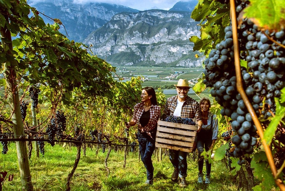 L'hub del Ministero del Turismo italiano basato su Adobe