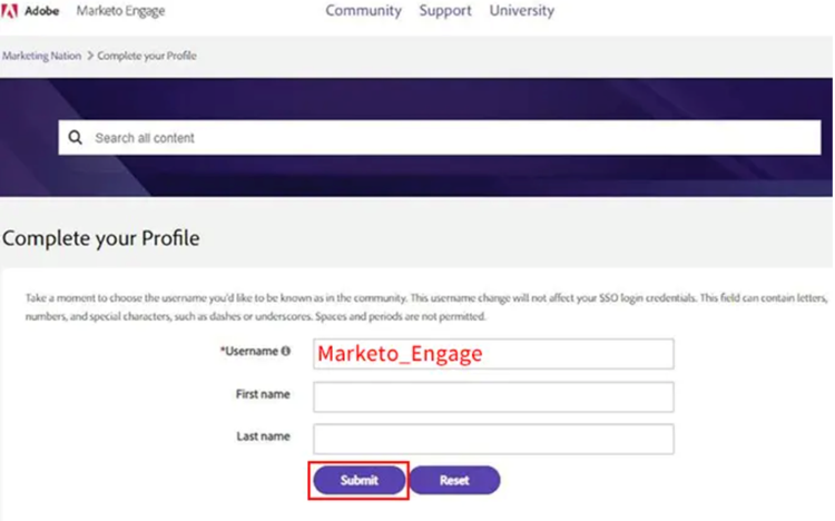 Adobe Marketo Engage profile screenshot