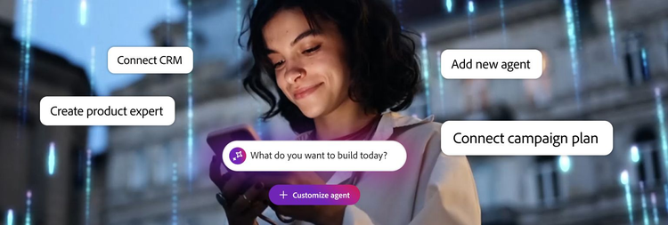 Un experto personaliza un agente