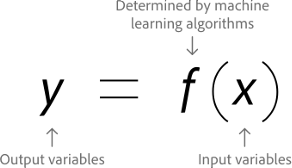 A machine learning algorithm equation.
