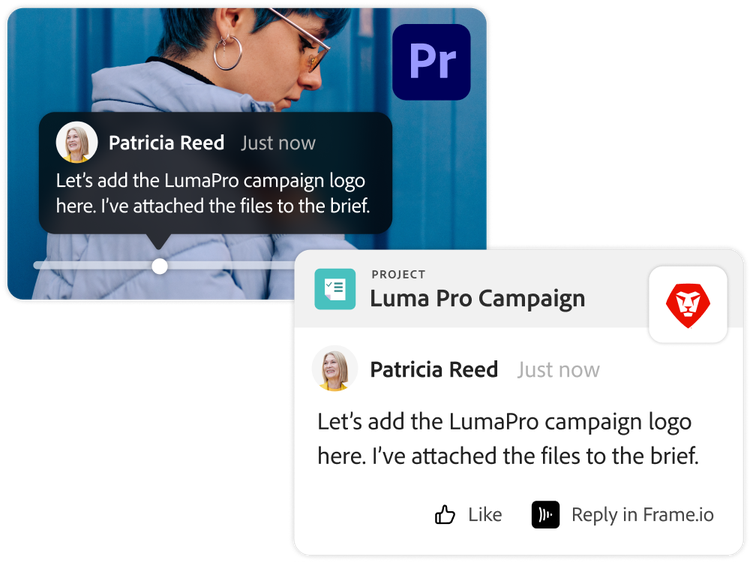 A Premiere Pro review page showing a comment posted from a collaborator.