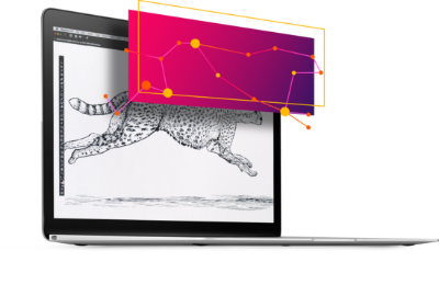 Deliver just-right experiences with content intelligence.