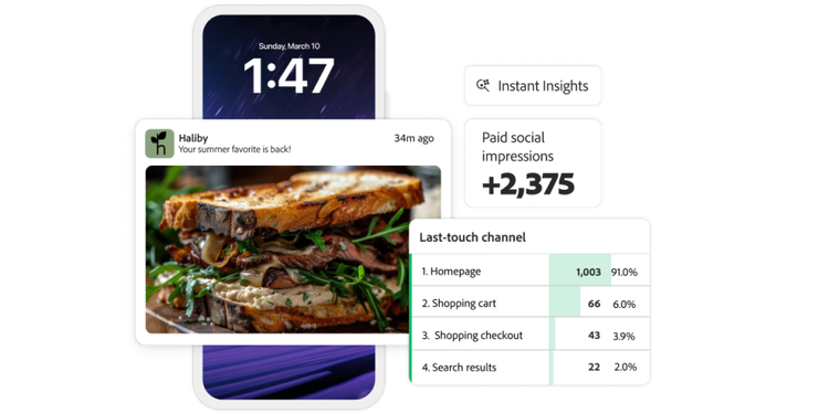 Using marketing analytics to get instant insights to assist in creating a personalized marketing campaign.
