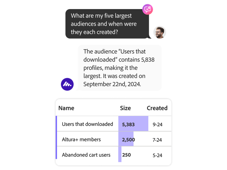 AI Assistant providing audience engagement metrics in response to a customer query