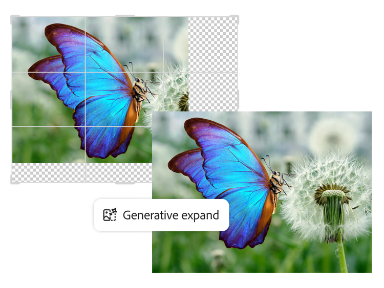Two photos of a blue morpho butterfly resting on a dandelion puffball, with content being added to second photo using the Generative expand tool.