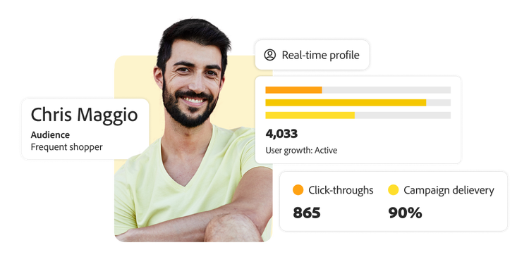 Adobe Audience Analytics banner with customer insights and statistics