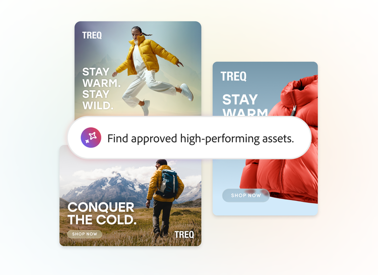 https://main--da-bacom--adobecom.aem.page/assets/videos/products/experience-manager/assets/media_1f1205dd0aa78edffeb0bd20b16bda2c51fb1f7bc.mp4#autoplay1 | Happy customer with a variety of campaign assets and a shirt ad