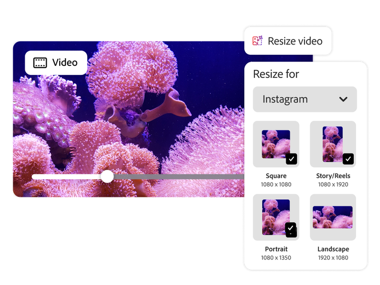 UI of video being resized for different platforms