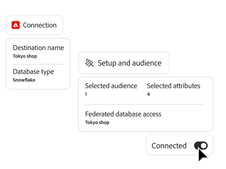 Connecting to Snowflake data warehouse to enrich audience with selected attributes