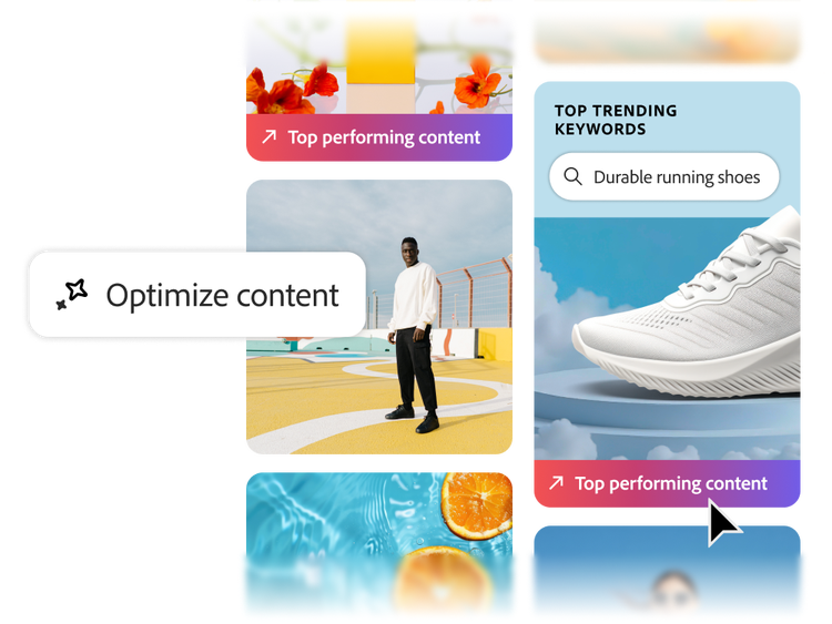 A set of image assets for optimization, some with tags identifying top performing content