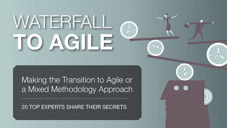 20 Experts Share Secrets For Balancing Agile and Waterfall card image