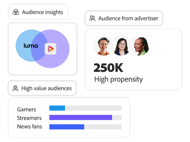A marketer analyzes audience insights showing high-value segments such as gamers, streamers, and news fans, with 250K high-propensity users.