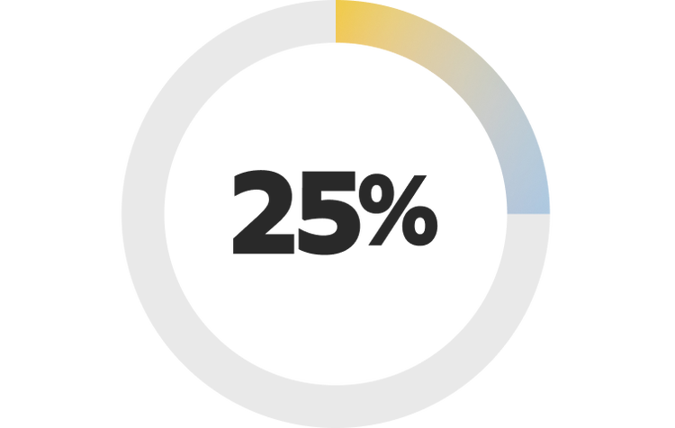 Donut chart showing 25%