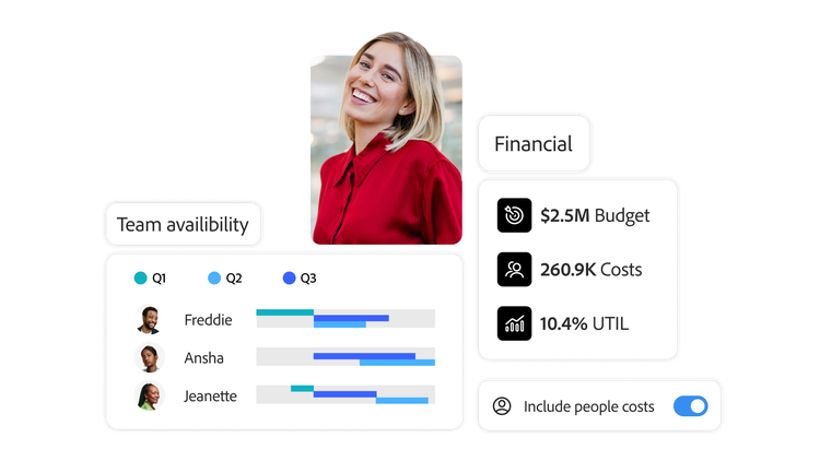 An image showing financial and team availability status of marketing project.