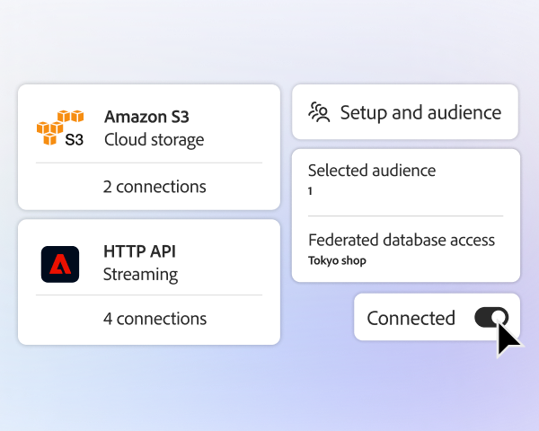 Connected data sources with audience selection and federated access enabled for activation.