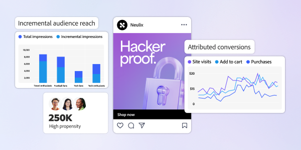 Digital marketing dashboard with an audience reach bar chart, conversions line graph, and high propensity segment.