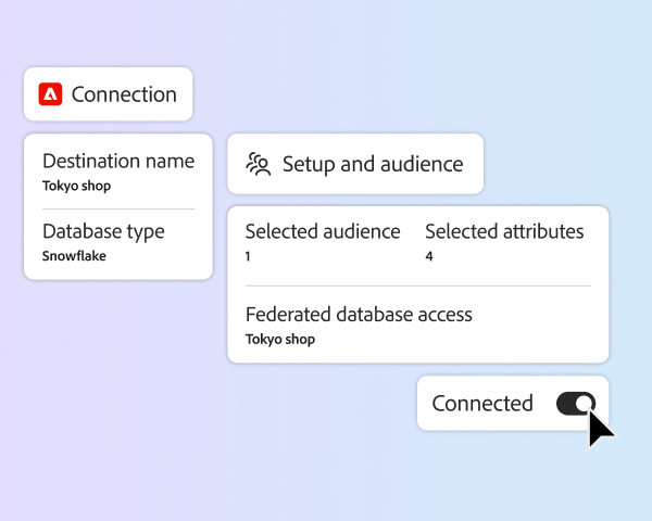 Connection setup panel showing destination details, audience selection, and federated data access with toggle enabled.