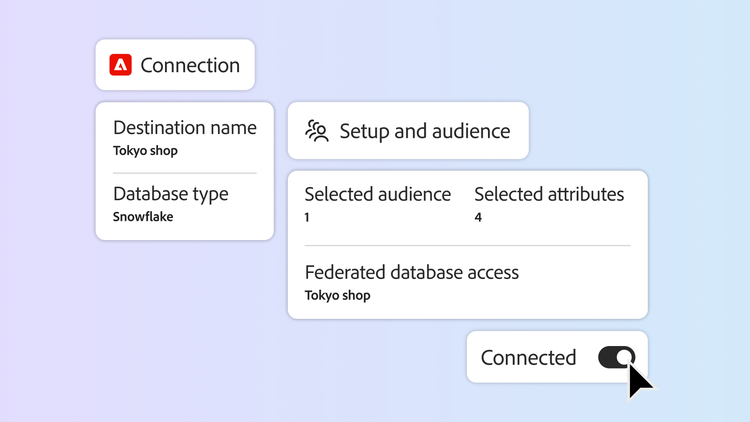 Connection setup panel showing destination details, audience selection, and federated data access with toggle enabled.