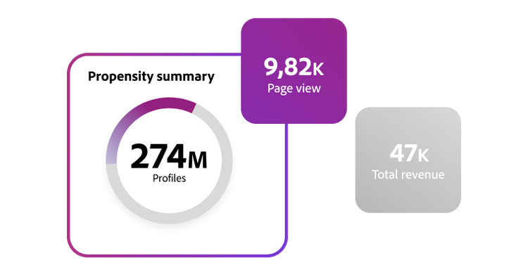 Graphic showing info panels depicting "Propensity summary" among customer profiles, total page views, and total revenue metrics.