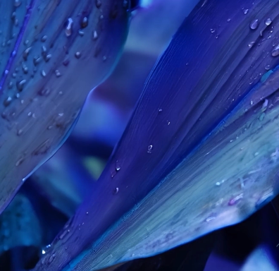 https://main--da-bacom--adobecom.aem.live/assets/videos/homepage/media_1a8ac919a273d07f551103802a885ef3aed9437b4.mp4#_autoplay1 | Adobe’s creative solutions for enterprise.