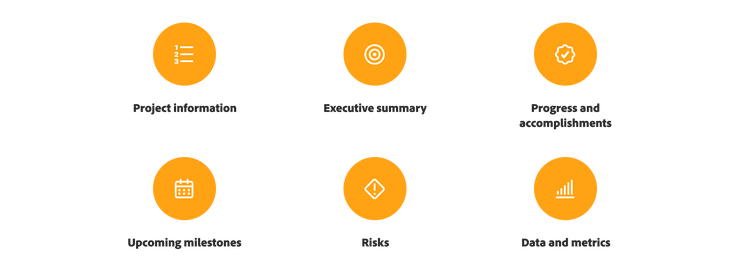 Icons representing project information, executive summary, progress and accomplishments, upcoming milestones, risks and data and metrics.