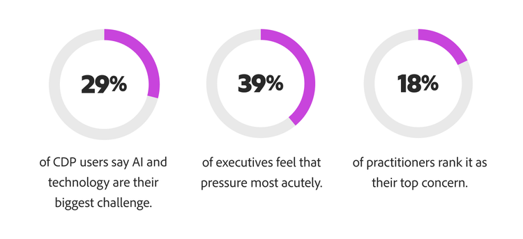 29% of CDP users say AI and tech are their biggest challenges. 39% of executives and 18% of practitioners feel that pressure.