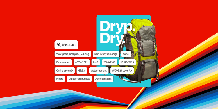 A green and grey waterproof hiking backpack on a bold red background with 'Dryp. Dry.' text. Metadata tags show file details, campaign info and target audience.